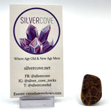 Free Form Ammolite Cabochons