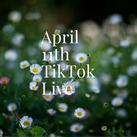 Big_rigs2 April 11th TikTok Live 2023