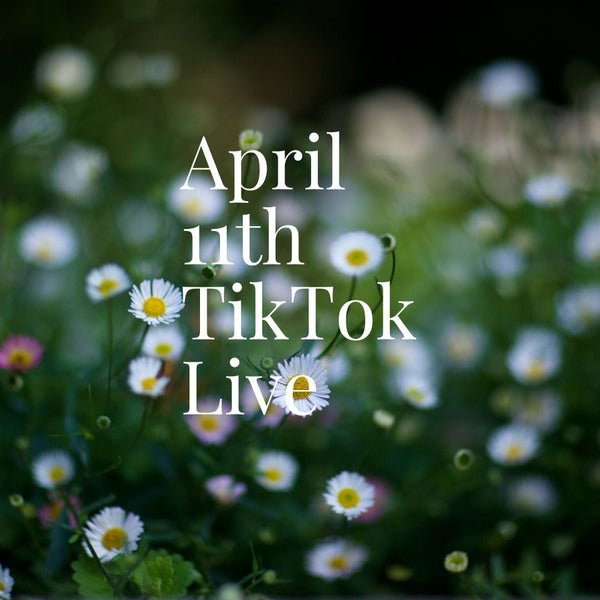 Big_rigs2 April 11th TikTok Live 2023