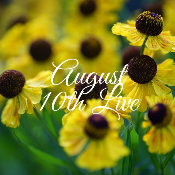 13583 August 10th Live 2022