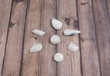 Rainbow Moonstone Cabochons