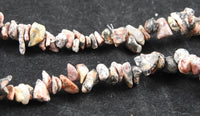 Leopardskin Jasper Chip Bead Strand