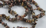 Leopardskin Jasper Chip Bead Strand