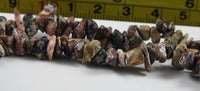 Leopardskin Jasper Chip Bead Strand