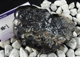 Botryoidal Hematite