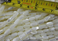 MOP & Trocha Shell Bead Strand