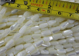 MOP & Trocha Shell Bead Strand