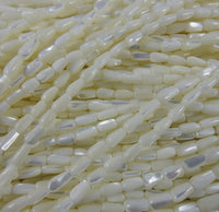 MOP & Trocha Shell Bead Strand