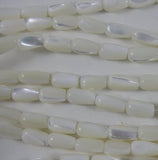 MOP & Trocha Shell Bead Strand