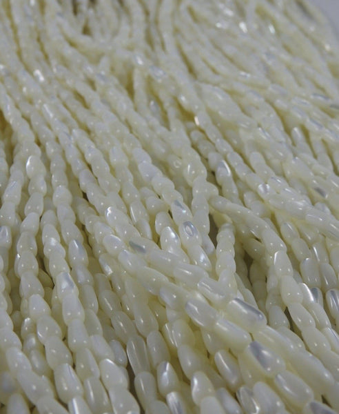 MOP & Trocha Shell Bead Strand