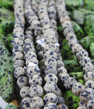 Matte Dalmatian Jasper Bead Strand