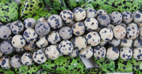 Matte Dalmatian Jasper Bead Strand