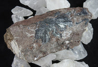 Moroccan Pyrolusite Specimen