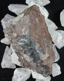 Moroccan Pyrolusite Specimen