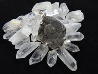 Chalcedony Conchive Sterling Silver Pendant CLOSEOUT