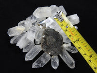 Chalcedony Conchive Sterling Silver Pendant CLOSEOUT