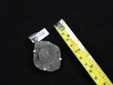 Chalcedony Conchive Sterling Silver Pendant CLOSEOUT