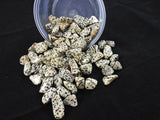 Dalmatian Jasper Tumbled