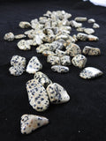 Dalmatian Jasper Tumbled