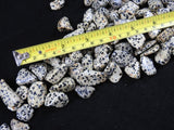 Dalmatian Jasper Tumbled