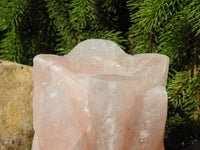 Pink Himalayan Salt Lamp (Lotus-Shaped)