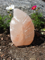 Pink Himalayan Salt Lamp (Leaf-Shaped)