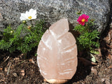 Pink Himalayan Salt Lamp (Leaf-Shaped)