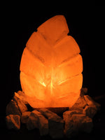 Pink Himalayan Salt Lamp (Leaf-Shaped)