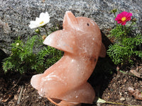 Pink Himalayan Salt Lamp (Dolphin-Shaped)