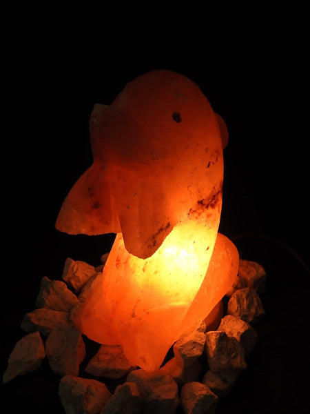 Pink Himalayan Salt Lamp (Dolphin-Shaped)