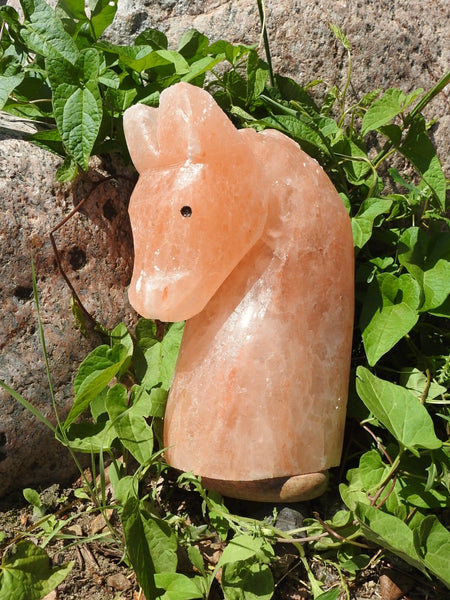 Pink Himalayan Salt Lamp (Horse-Shaped)