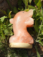 Dolphin Himalayan Salt Lamp (Color Changing USB)