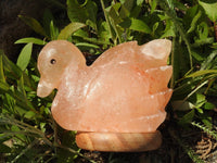 Swan Himalayan Salt Lamp (Color Changing USB)