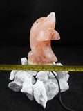 Dolphin Himalayan Salt Lamp (Color Changing USB)