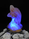 Dolphin Himalayan Salt Lamp (Color Changing USB)
