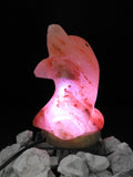 Dolphin Himalayan Salt Lamp (Color Changing USB)