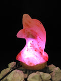 Dolphin Himalayan Salt Lamp (Color Changing USB)