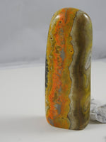 Bumblebee Jasper on white backdrop