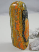 Bumblebee Jasper on white backdrop