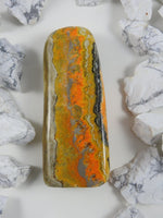 Bumblebee Jasper on white backdrop