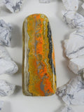 Bumblebee Jasper on white backdrop