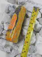 Bumblebee Jasper Specimen