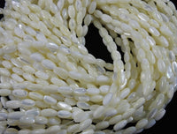 Mother of Pearl & Trocha Bead Strand CLOSEOUT