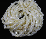Mother of Pearl & Trocha Shell Bead Strand