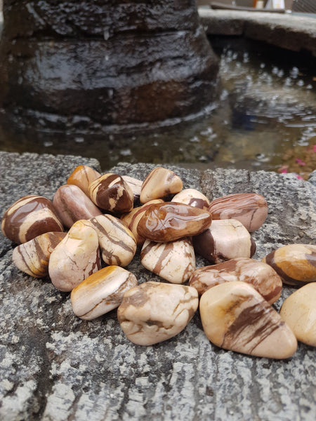 Puddingstone Jasper 