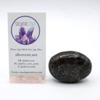 Canadian Staurolite, Garnet, Mica Schist Palm Stone