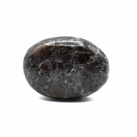 Canadian Staurolite, Garnet, Mica Schist Palm Stone