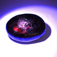 Canadian Staurolite, Garnet, Mica Schist Palm Stone