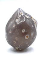 Enhydro Occo Agate Geode
