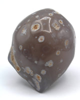 Enhydro Occo Agate Geode
